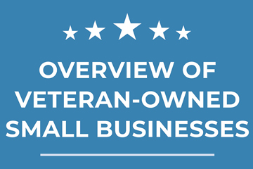 veteran business owners infographic preview