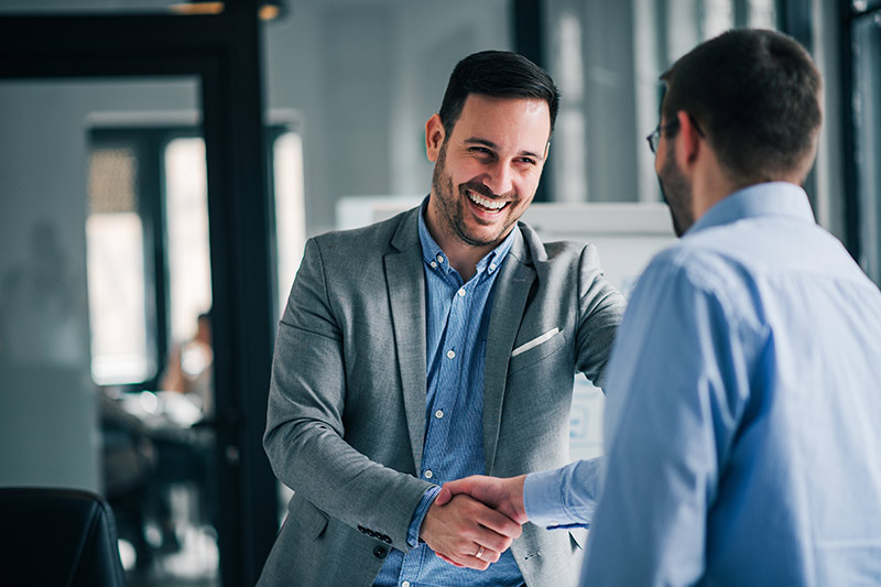 two professional businessmen shaking hands